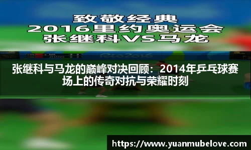 张继科与马龙的巅峰对决回顾：2014年乒乓球赛场上的传奇对抗与荣耀时刻